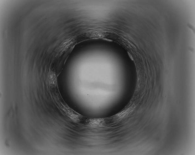X0000097600096200802291254