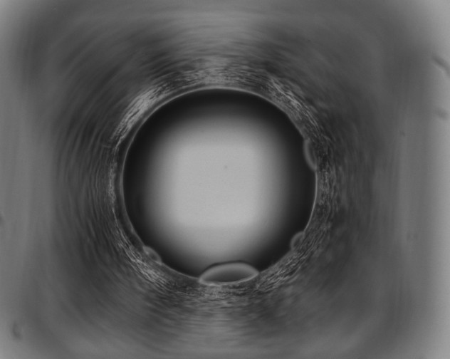 X0000097600098200802291253