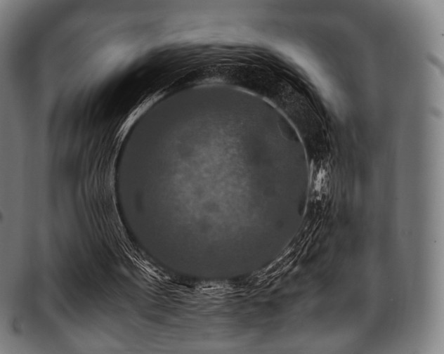 X0000097600099200802291253
