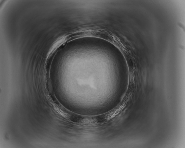 X0000097600101200802291253