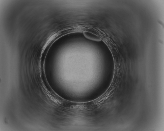 X0000097600102200802291253
