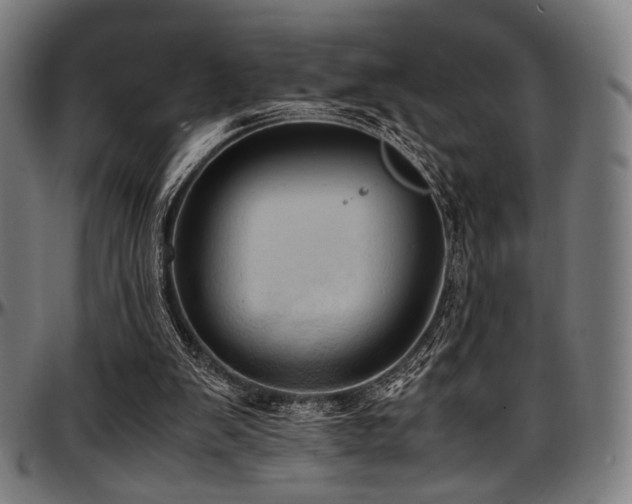 X0000097600103200802291253