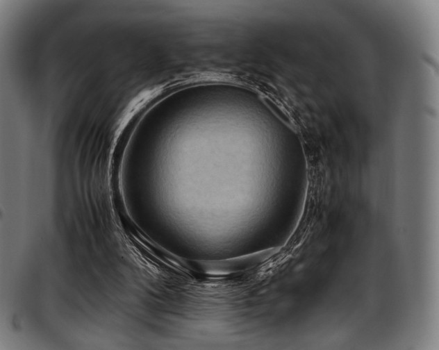 X0000097600104200802291253
