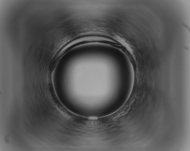X0000097600105200802291253