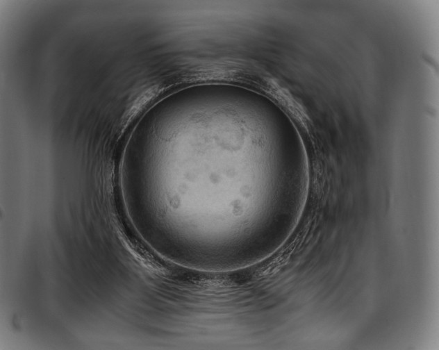 X0000097600107200802291253
