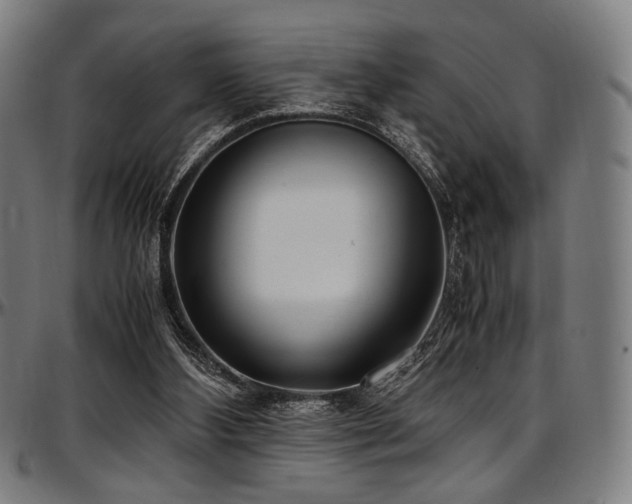 X0000097600108200802291253