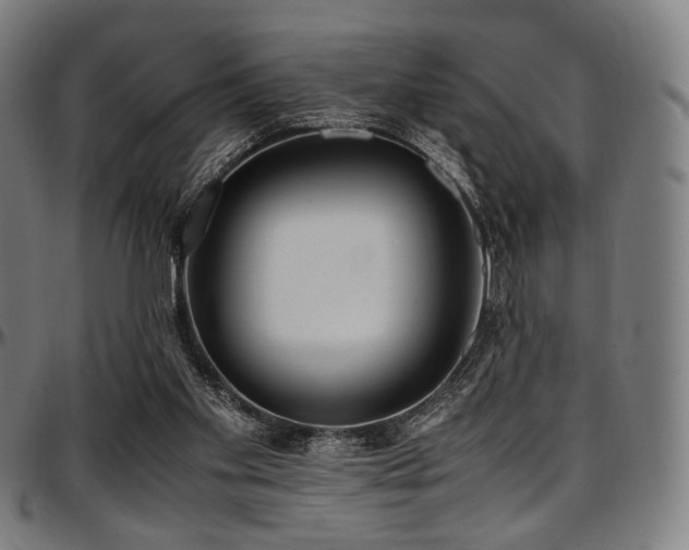 X0000097600109200802291253
