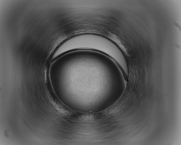 X0000097600110200802291253
