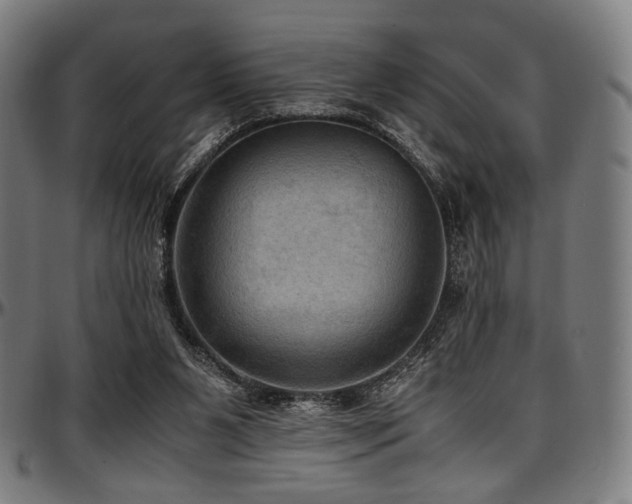 X0000097600111200802291253