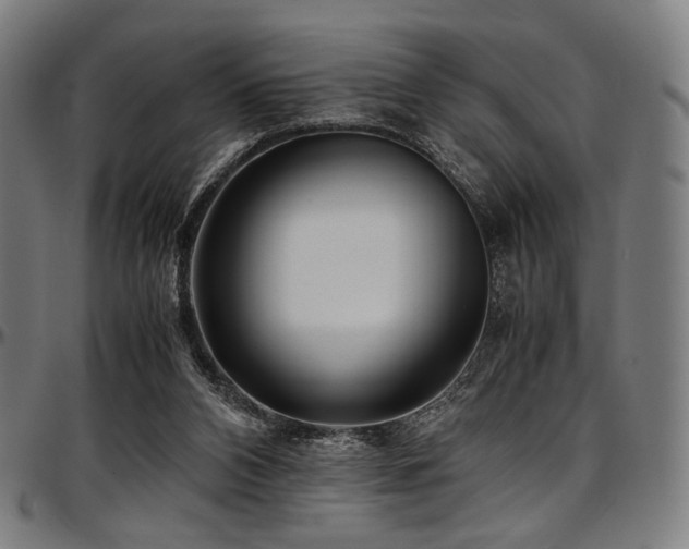 X0000097600112200802291252