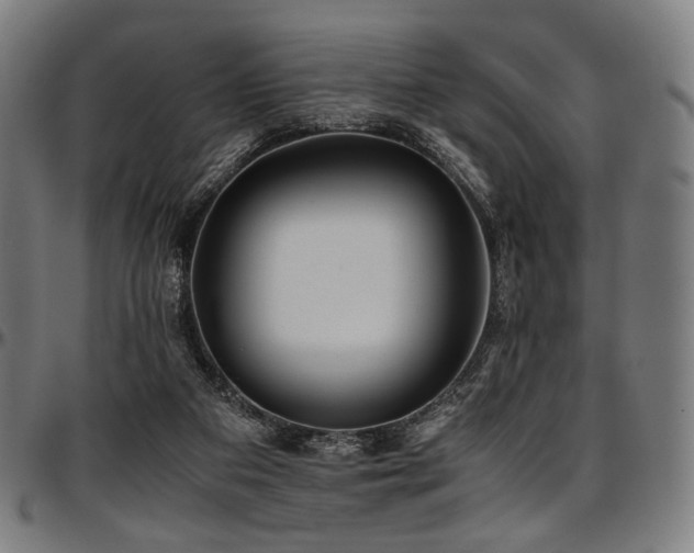 X0000097600113200802291252