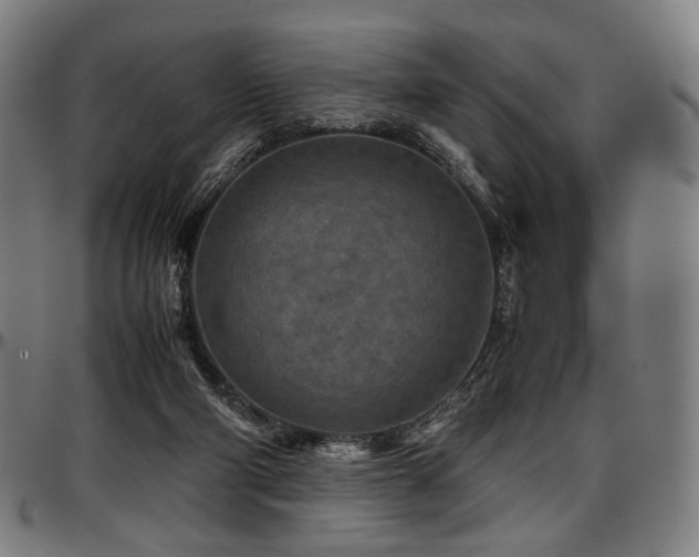 X0000097600114200802291252