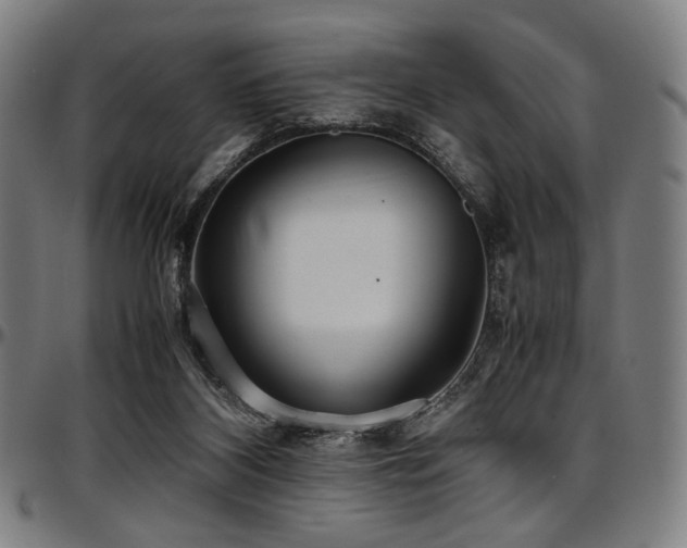 X0000097600116200802291252