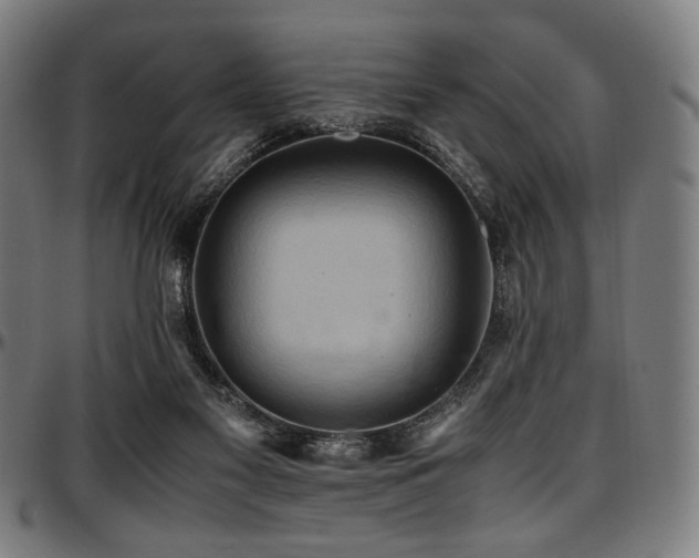 X0000097600117200802291252