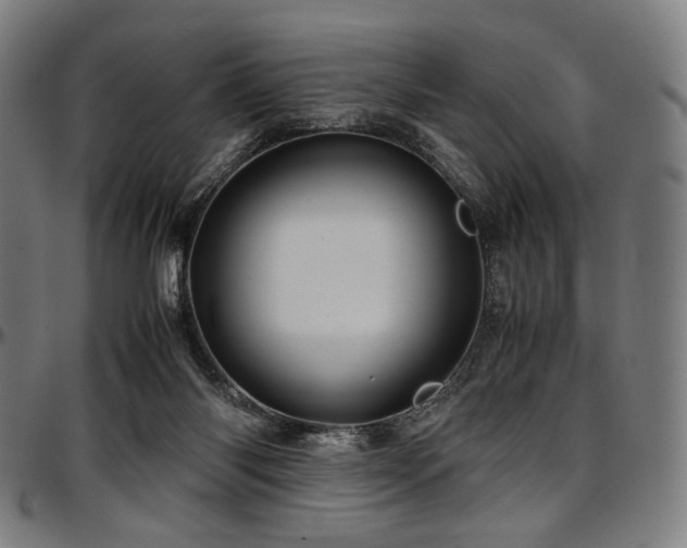 X0000097600118200802291252