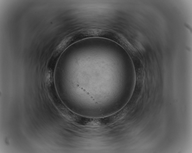 X0000097600119200802291252