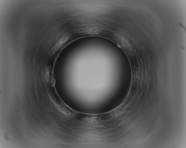 X0000097600120200802291252