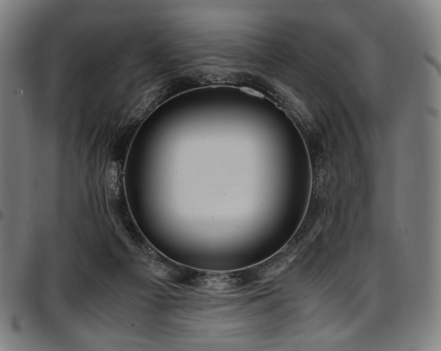 X0000097600121200802291252