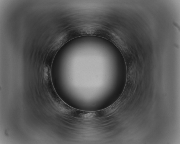 X0000097600122200802291252