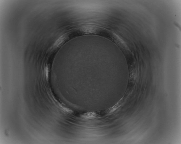 X0000097600124200802291252