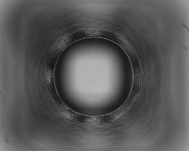 X0000097600125200802291252