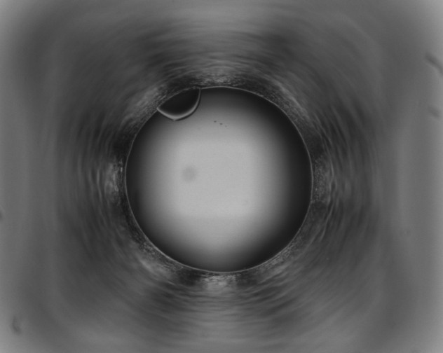 X0000097600126200802291252