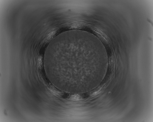 X0000097600127200802291252