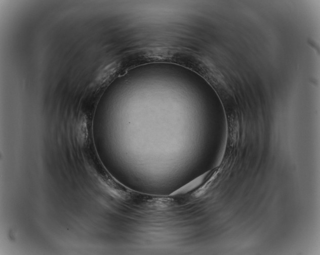 X0000097600128200802291252