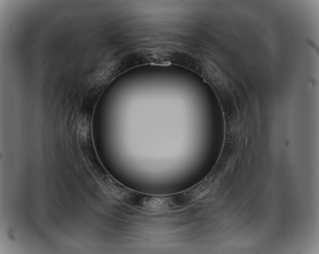 X0000097600129200802291252