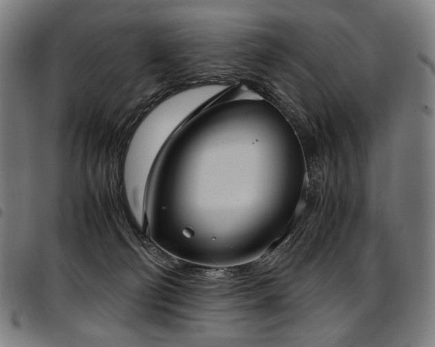 X0000097600130200802291252