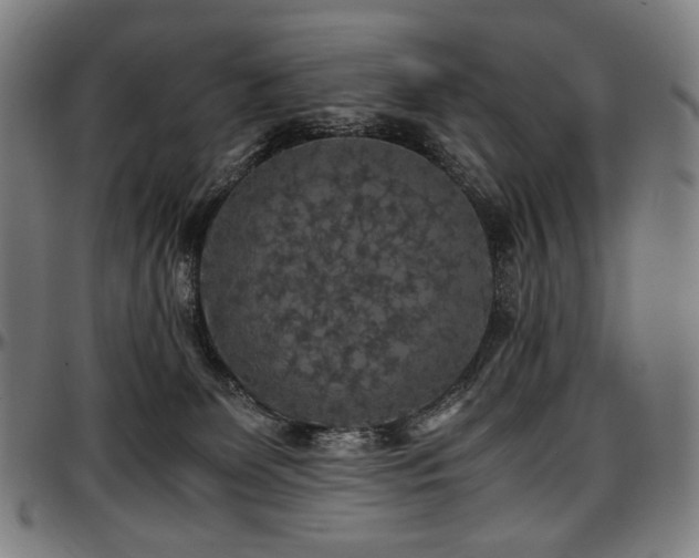 X0000097600131200802291252