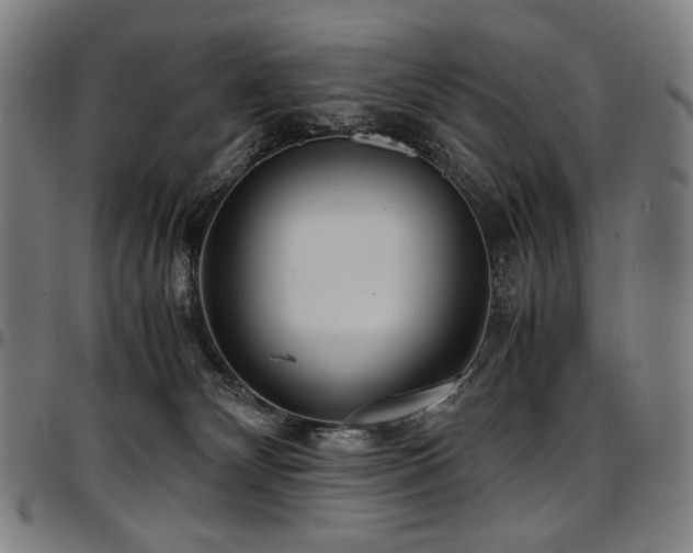 X0000097600132200802291252