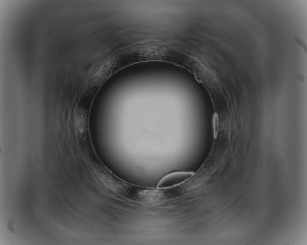 X0000097600133200802291252