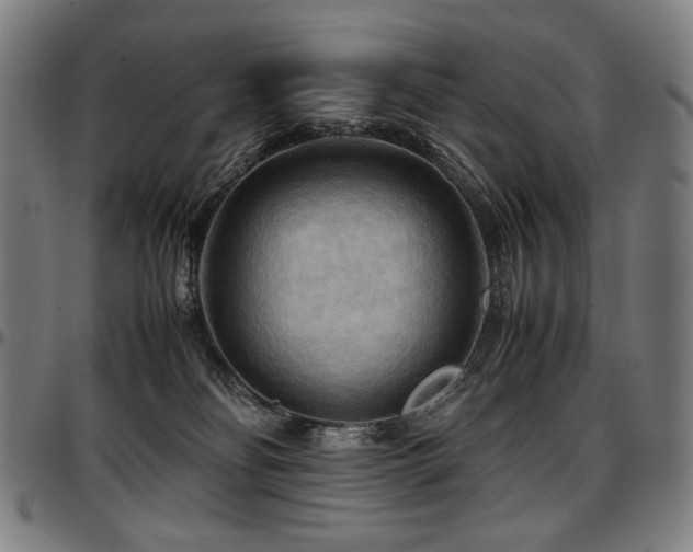 X0000097600134200802291252
