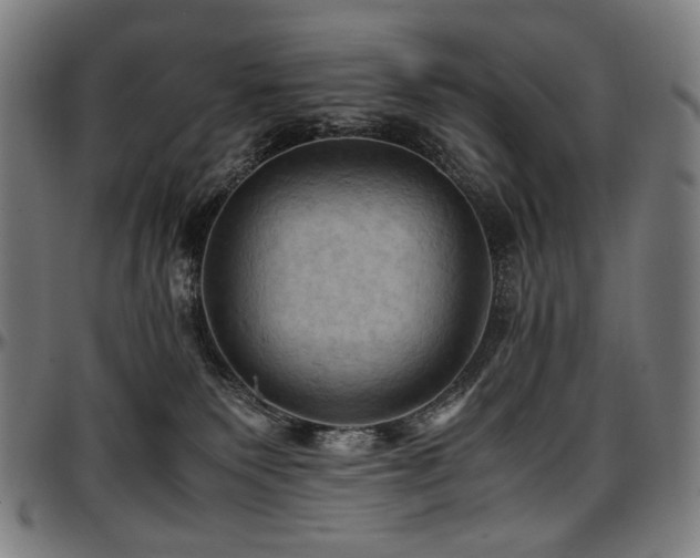 X0000097600135200802291252