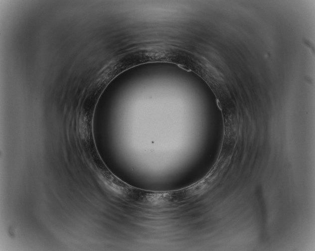 X0000097600136200802291252