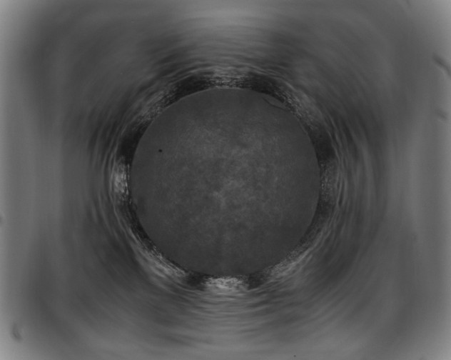 X0000097600137200802291252