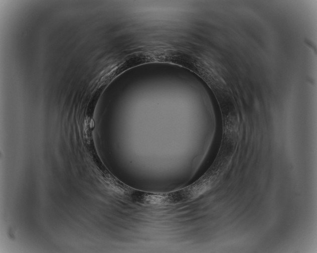 X0000097600139200802291252