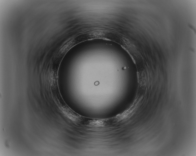 X0000097600140200802291252