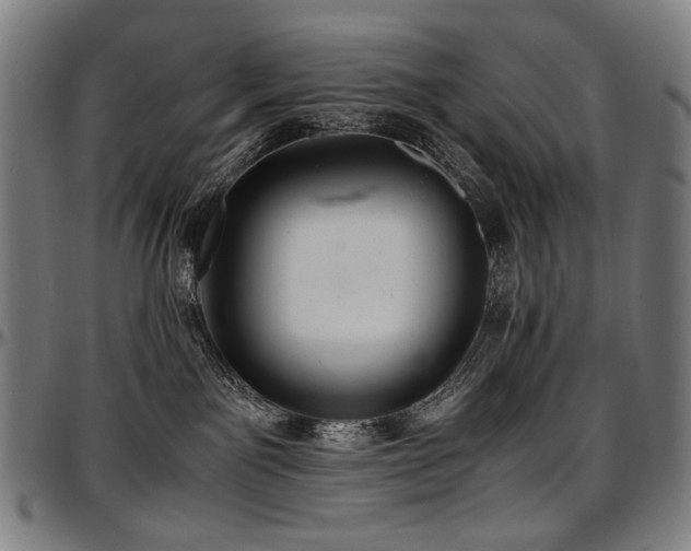 X0000097600141200802291252