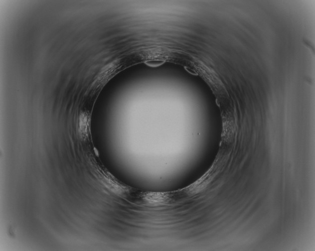 X0000097600142200802291252