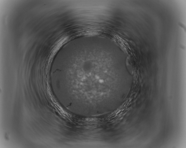 X0000097600145200802291251