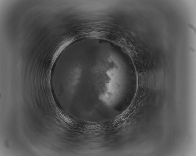 X0000097600147200802291251