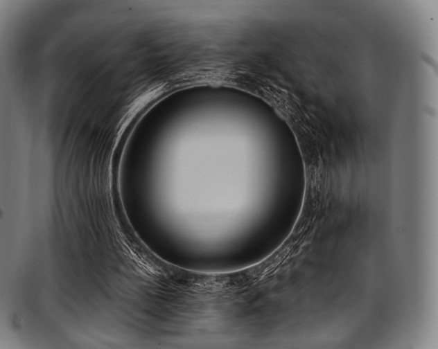 X0000097600148200802291251