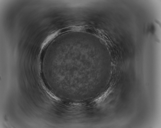 X0000097600149200802291251