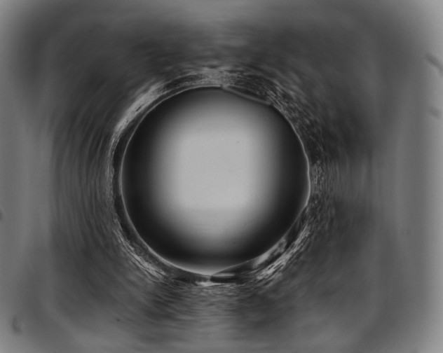 X0000097600150200802291251