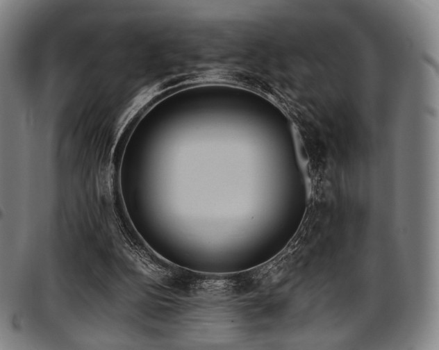 X0000097600152200802291251