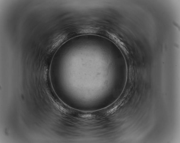 X0000097600153200802291251