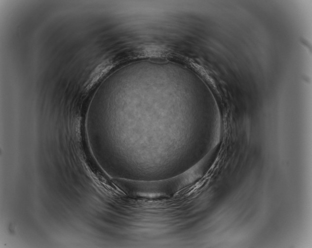 X0000097600154200802291252