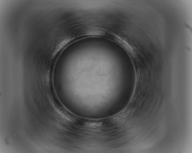 X0000097600155200802291252